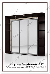 Шкаф купе "Мебелайн 22"