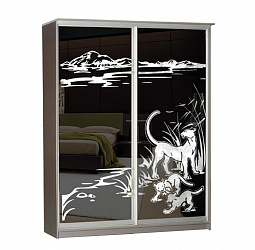 Шкаф-купе 2-х дверный "Концепт-2"