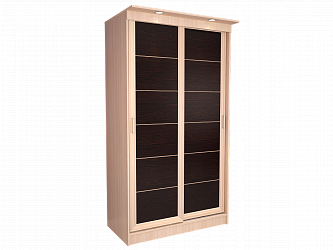 Шкаф купе 2-х дверный "Миллениум Лайн"