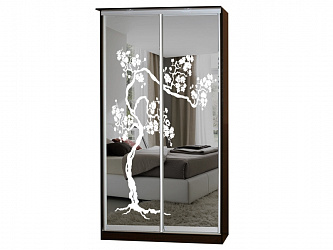 Шкаф-купе 2-х дверный "Лагуна-25"