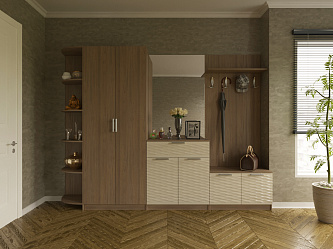 Модульная прихожая "Глянец 3Д-5"
