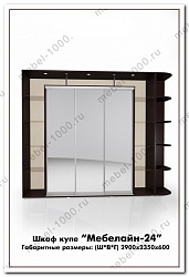 Шкаф купе "Мебелайн 24"