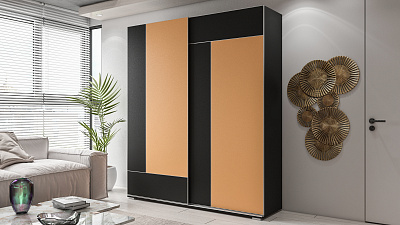 Шкаф купе 2-х дверный "Аристо нова люкс-5"