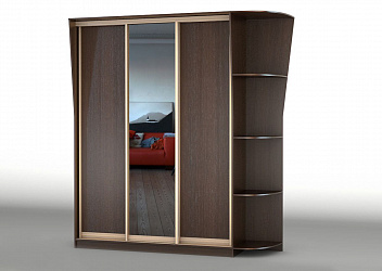 Шкаф купе 3-х дверный "Концепт-15" с зеркалами