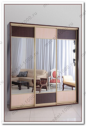 Шкаф-купе 3-х дверный "Титан-8"