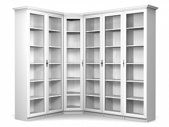 Модульная книжная библиотека "Даниэль-9"