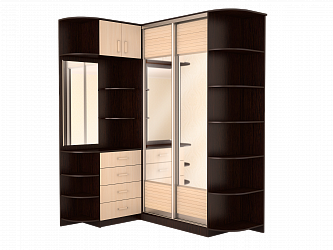 Прихожая-купе "Дали-5"