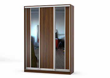 Шкаф-купе 3-х дверный "Лагуна-5"