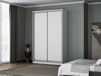 Шкаф-купе 2-х дверный "Лагуна-20"