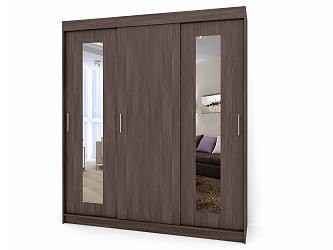 Шкаф купе 3-х дверный "Миллениум-11" с зеркалами