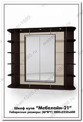 Шкаф купе "Мебелайн 21"