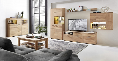 Модульная гостиная "Скарабей-2"