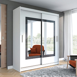 Шкаф-купе 2-х дверный "Амадеус-29"