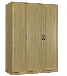 Шкаф распашной 3-х дверный "Гамма-22"