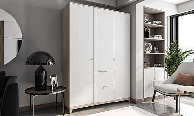 Шкаф распашной "Хелен-39" ЛДСП